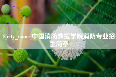 天门中国消防救援学院消防专业招生简章