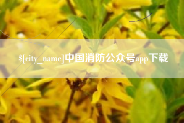天门中国消防公众号app下载
