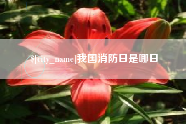 天门我国消防日是哪日