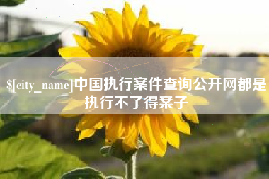 天门中国执行案件查询公开网都是执行不了得案子