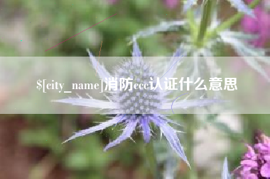 天门消防ccc认证什么意思