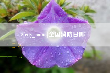 天门全国消防日哪一