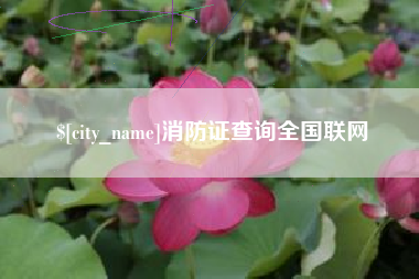 天门消防证查询全国联网