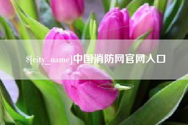 天门中国消防网官网入口