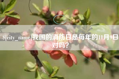 天门我国的消防日是每年的11月9日对吗？