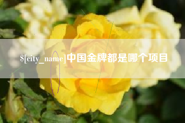 天门中国金牌都是哪个项目