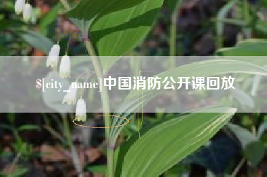 天门中国消防公开课回放
