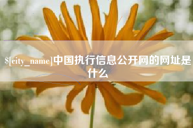 天门中国执行信息公开网的网址是什么