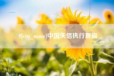 天门中国失信执行查询