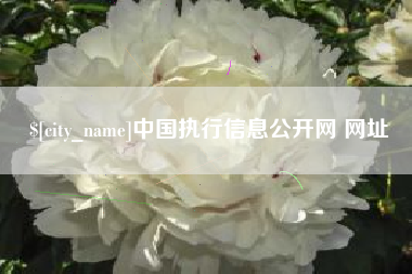 天门中国执行信息公开网 网址