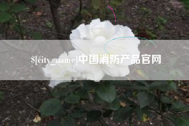 天门中国消防产品官网