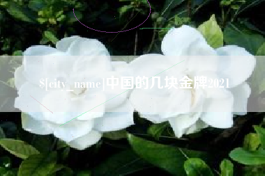 天门中国的几块金牌2021