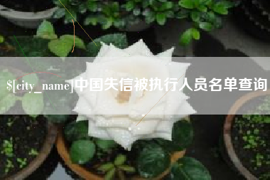 天门中国失信被执行人员名单查询