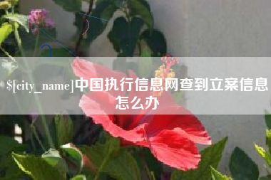 天门中国执行信息网查到立案信息怎么办