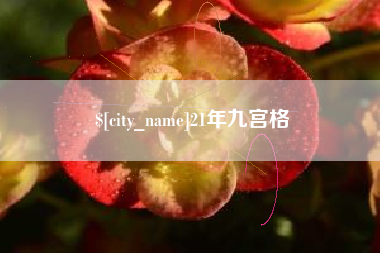 天门21年九宫格