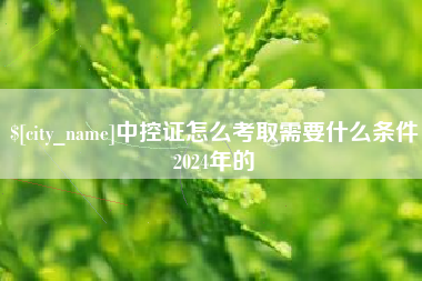 天门中控证怎么考取需要什么条件2024年的