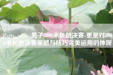 天门男子5000米长跑决赛-更是对5000米长跑决赛策略与技巧完美运用的体现