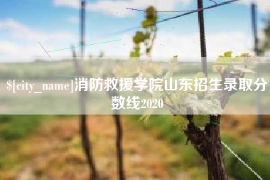 天门消防救援学院山东招生录取分数线2020