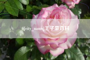天门王子豪百科
