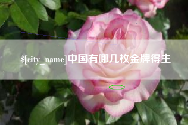 天门中国有哪几枚金牌得主