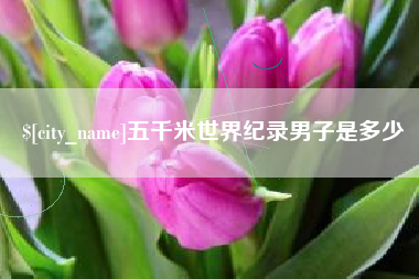 天门五千米世界纪录男子是多少