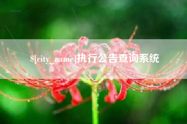 天门执行公告查询系统
