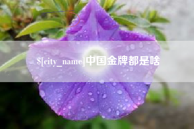 天门中国金牌都是啥