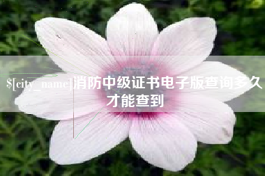 天门消防中级证书电子版查询多久才能查到