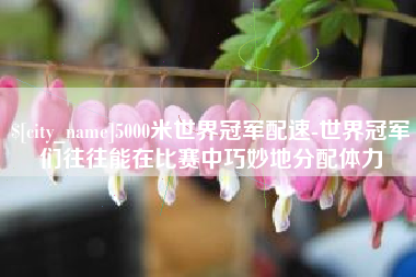 天门5000米世界冠军配速-世界冠军们往往能在比赛中巧妙地分配体力