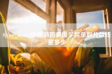 天门中国消防救援学院录取分数线是多少