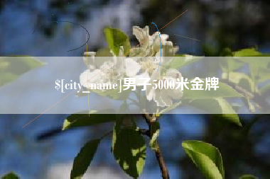 天门男子5000米金牌