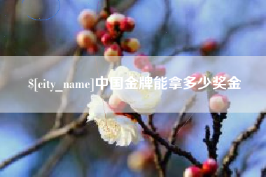 天门中国金牌能拿多少奖金