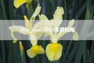 天门中国金牌包括