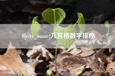 天门九宫格数字排序
