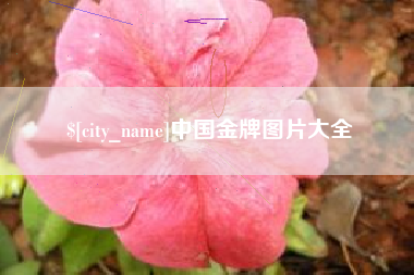 天门中国金牌图片大全