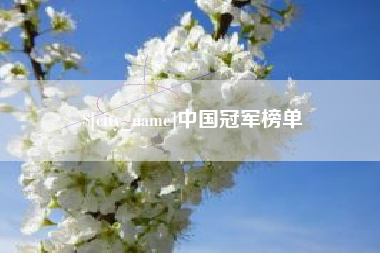 天门中国冠军榜单