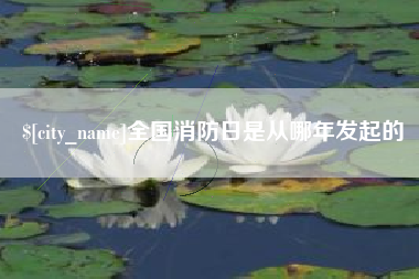 天门全国消防日是从哪年发起的