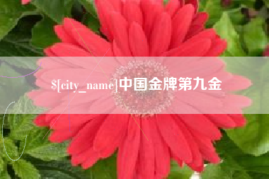 天门中国金牌第九金