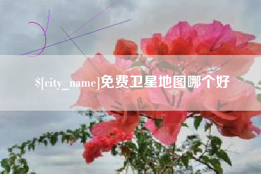 天门免费卫星地图哪个好