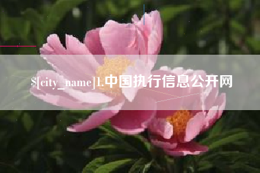 天门1.中国执行信息公开网