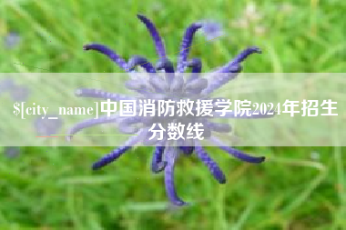 天门中国消防救援学院2024年招生分数线