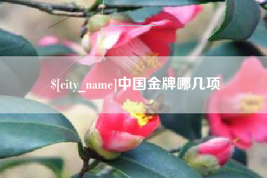 天门中国金牌哪几项