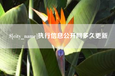 天门执行信息公开网多久更新