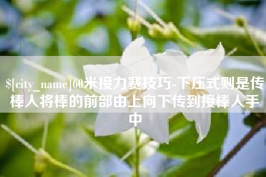 天门60米接力赛技巧-下压式则是传棒人将棒的前部由上向下传到接棒人手中
