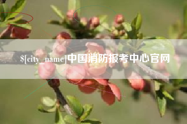 天门中国消防报考中心官网