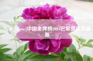 天门中国金牌榜2024巴黎奥运会最新