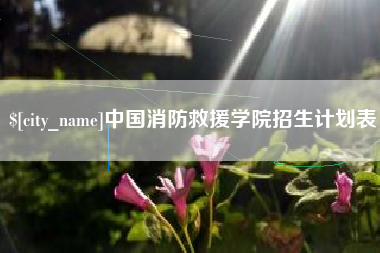 天门中国消防救援学院招生计划表