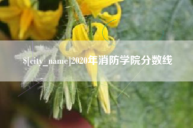 天门2020年消防学院分数线