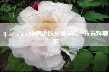 天门中国消防救援学院山东选科要求