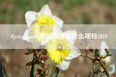 天门中国金牌是什么项目2024